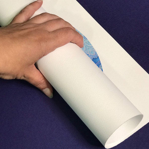 Green turtles Signed Print - Turles swimming in the Sea - Sea Green Turtle Print - Bathroom Art