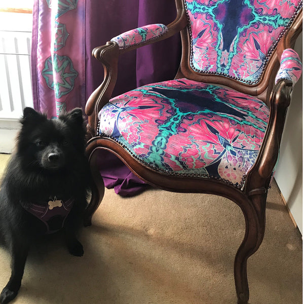 Designer Butterfly Antique Chair Upholstery Bespoke Upholstery for Antiques