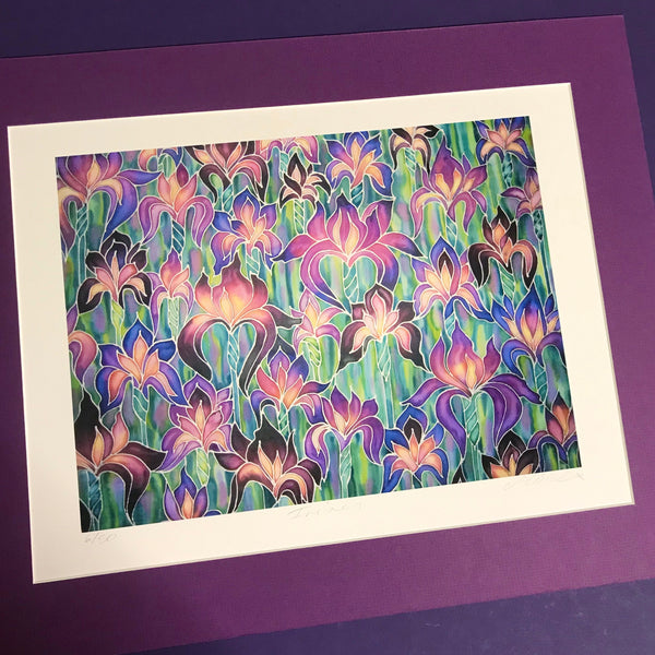 Purple Irises Print - Flower art print - Purple pink and green Print - Bathroom Art